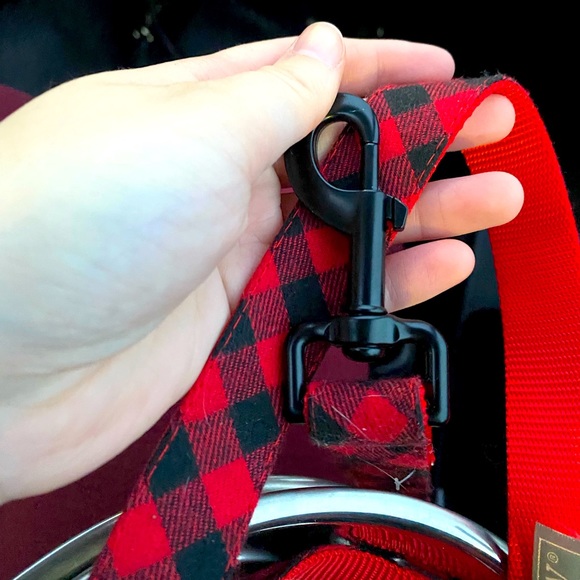 Dog collar - Picture 1 of 3